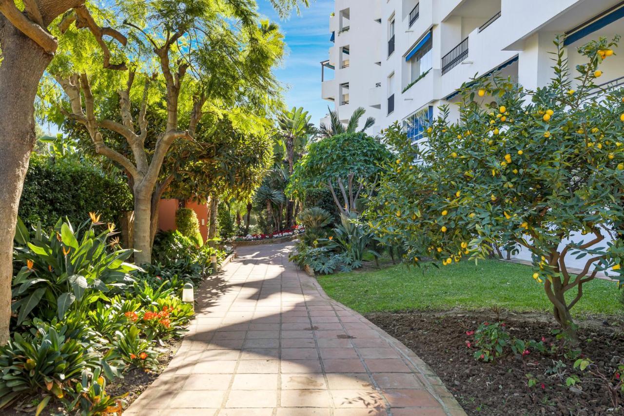 Confortable Estudio En Medina Garden Ref 332 マルベーリャ エクステリア 写真